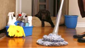 como-limpiar-el-polvo-del-hogar